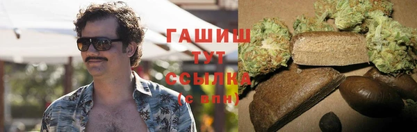 стаф Алексин