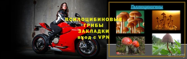 стаф Алексин