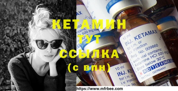 стаф Алексин