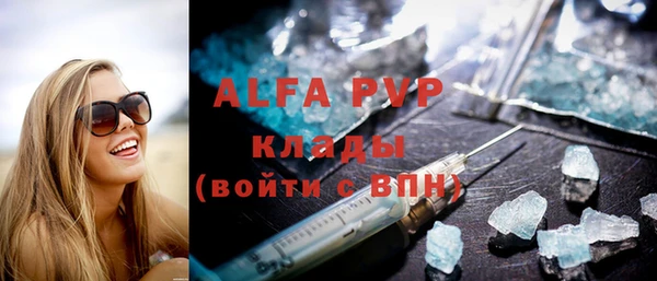стаф Алексин