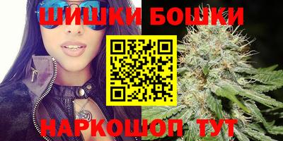 дмт Будённовск