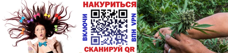 Каннабис план  Волгоград 